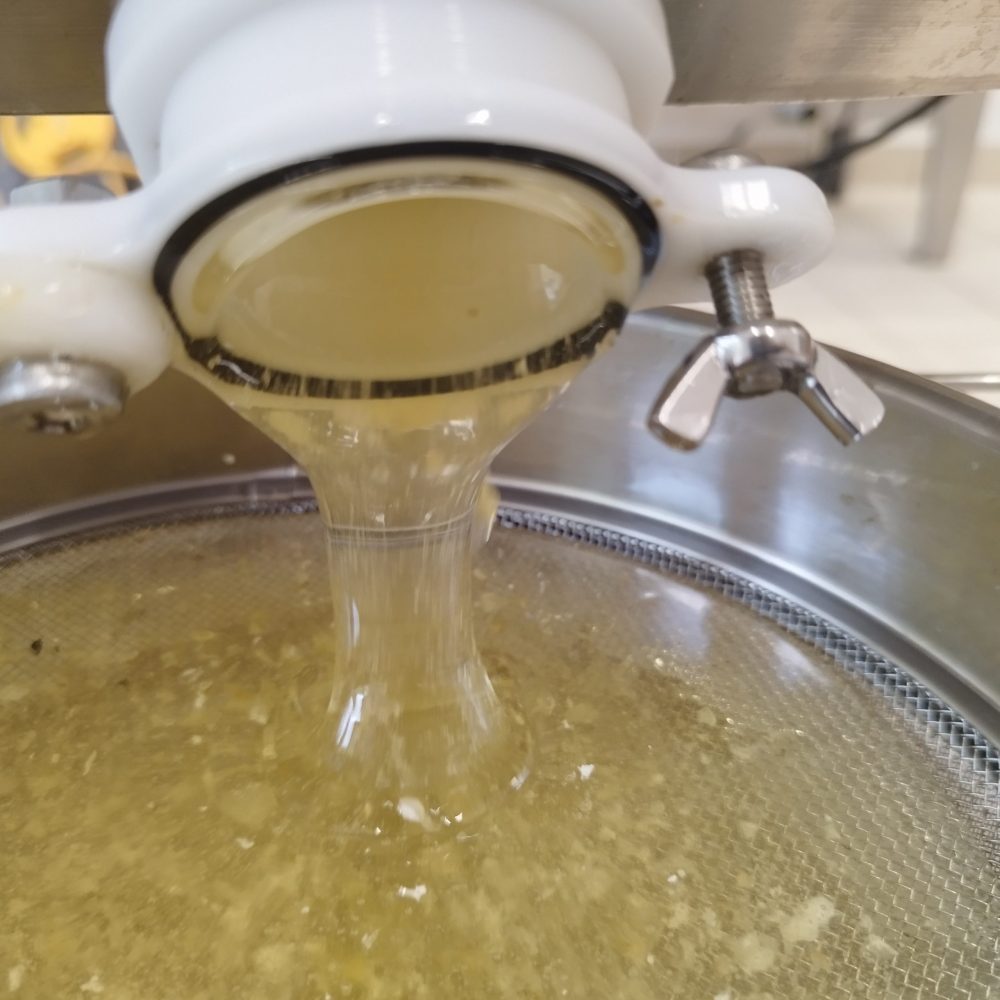 extraction du miel