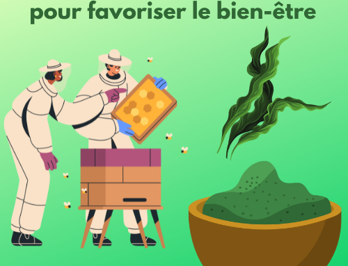 Ferme de spiruline a Libourne