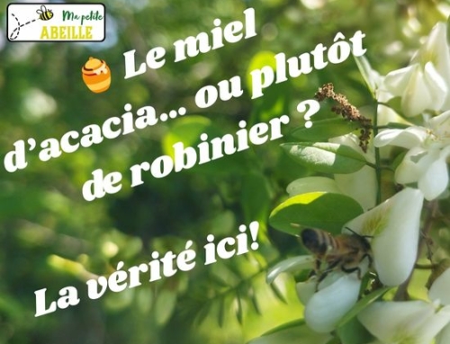 🌿 Le Miel d’Acacia… ou plutôt de Robinier ? On vous explique tout 🐝