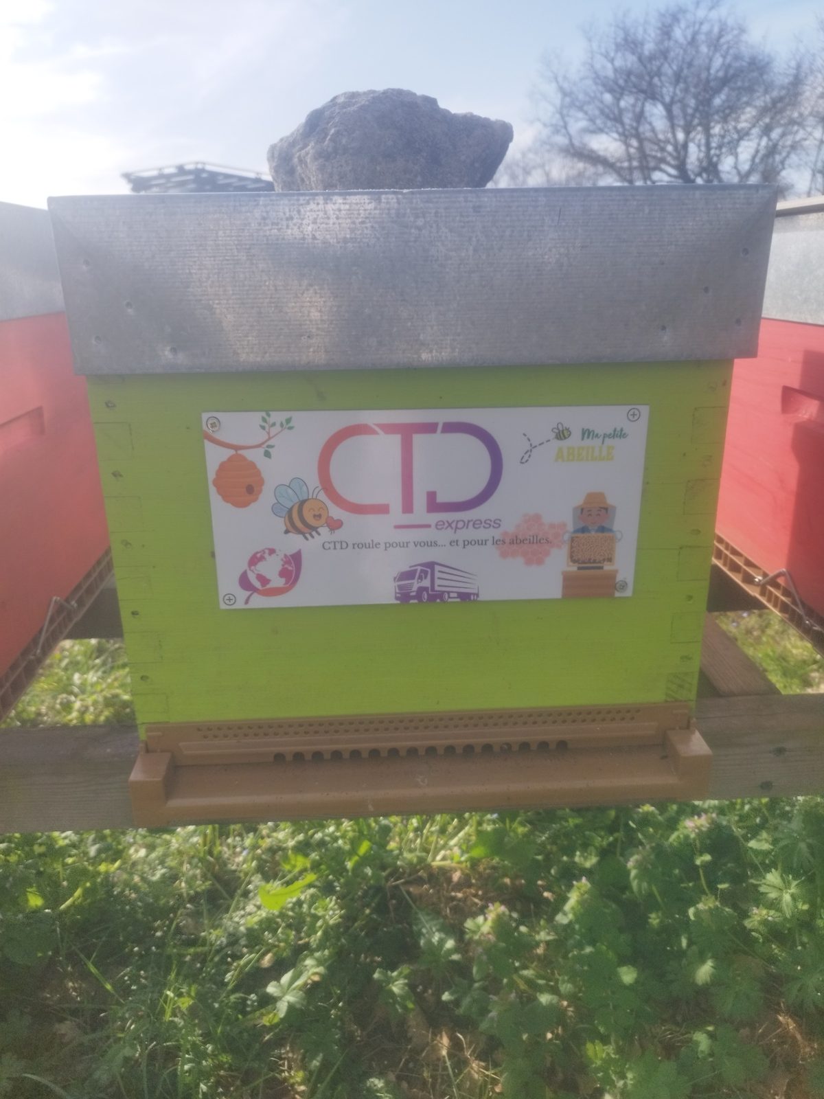 1772618305908_web (1)